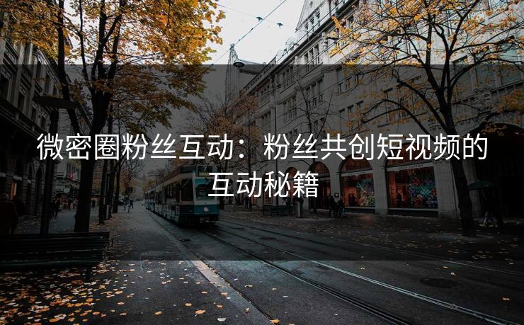 微密圈粉丝互动：粉丝共创短视频的互动秘籍