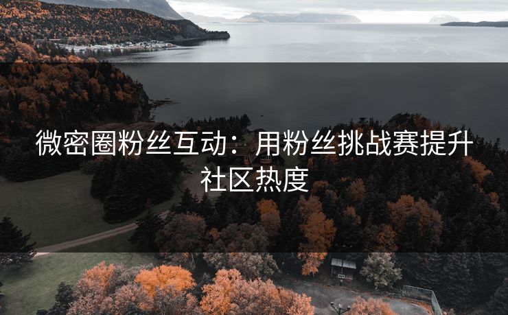 微密圈粉丝互动：用粉丝挑战赛提升社区热度