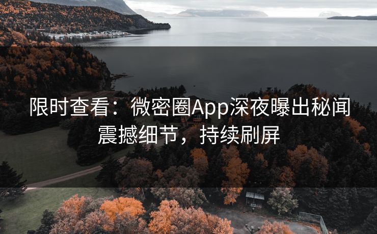 限时查看：微密圈App深夜曝出秘闻震撼细节，持续刷屏