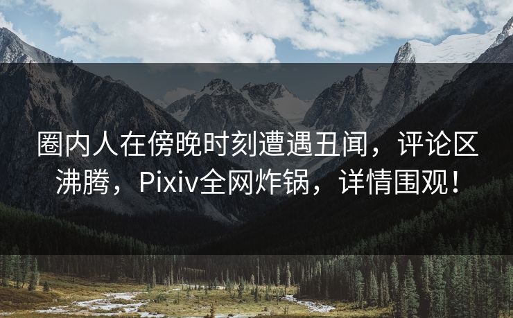 圈内人在傍晚时刻遭遇丑闻，评论区沸腾，Pixiv全网炸锅，详情围观！