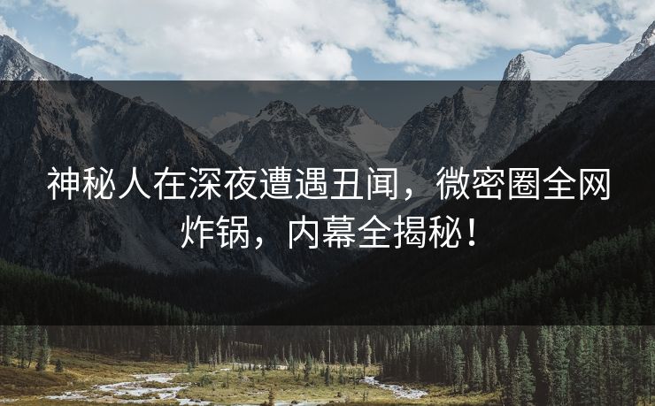 神秘人在深夜遭遇丑闻，微密圈全网炸锅，内幕全揭秘！