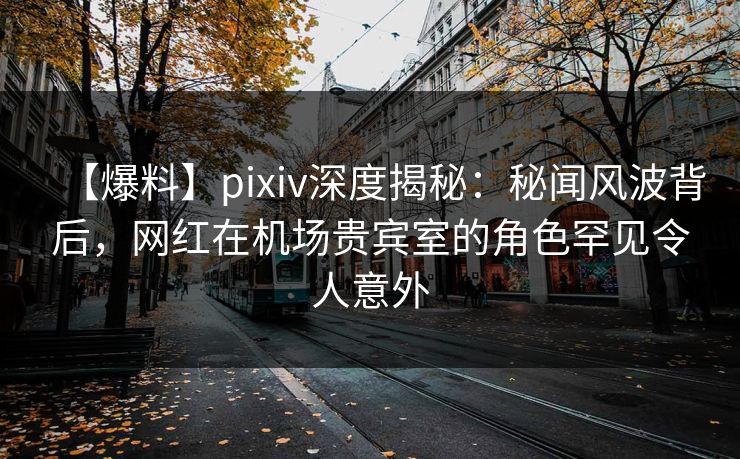 【爆料】pixiv深度揭秘：秘闻风波背后，网红在机场贵宾室的角色罕见令人意外